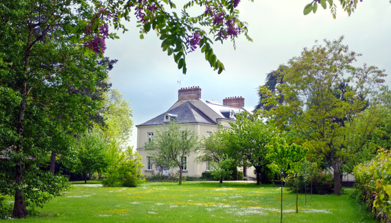 chambres-d-hotes-en-touraine-cedre-et-charme-depuis-la-verdure-du-parc.jpg_gallery_preview.jpg