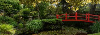 this image is a shoot inside the relaxing Japanese Gardens, Irish National Stud